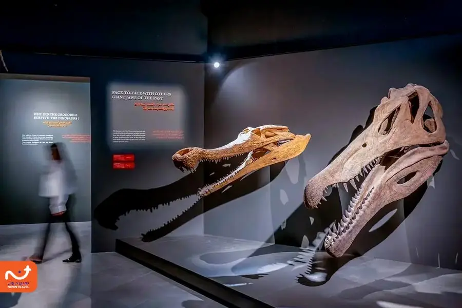 موزه تاریخی پارک کروکودیل دبی