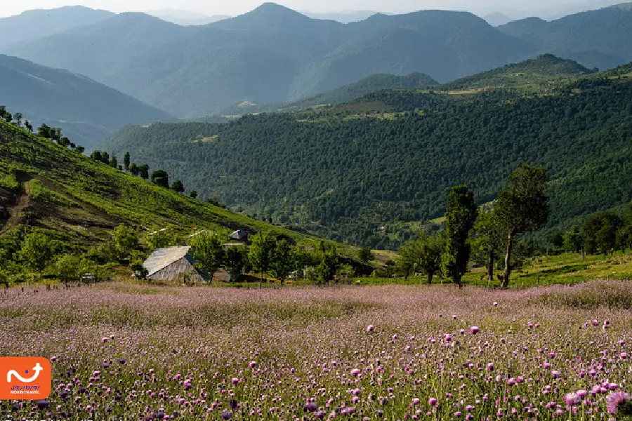 گردنه الماس