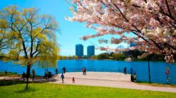 بهترین پارک های کانادا