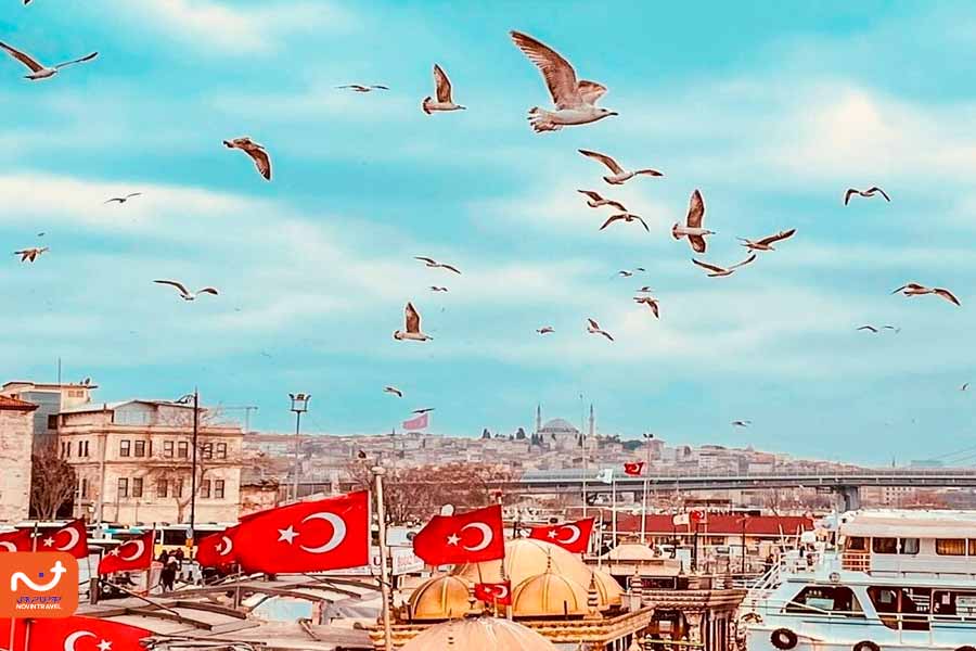 پرواز پرندگان بر فراز اسکله امینونو