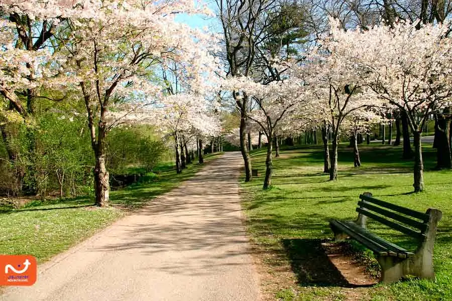 های پارک، از جذاب‌ترین جاهای دیدنی تورنتو