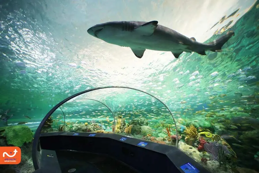 آکواریوم ریپلی کانادا از بهترین جاهای دیدنی تورنتو
