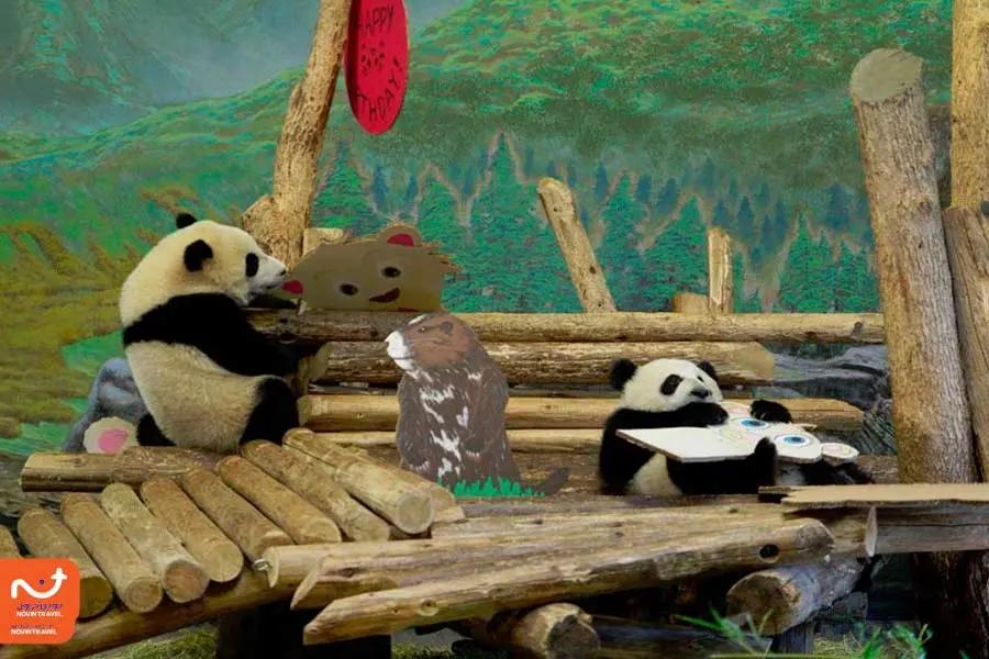 باغ وحش تورنتو از بهترین دیدنیهای تورنتو