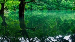 دریاچه چورت