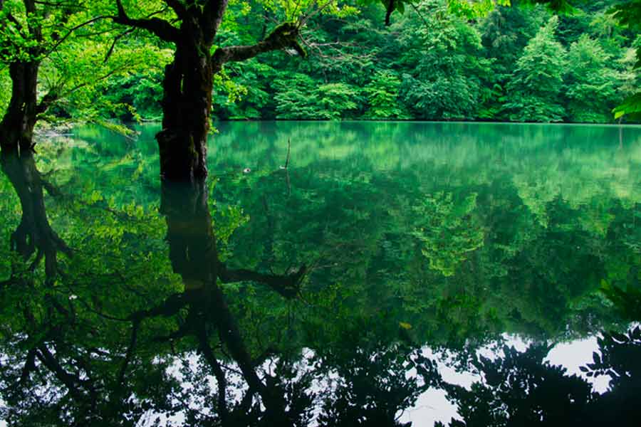 دریاچه چورت