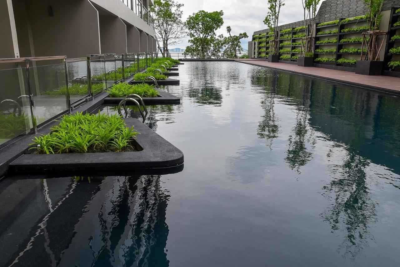 Golden Tulip
