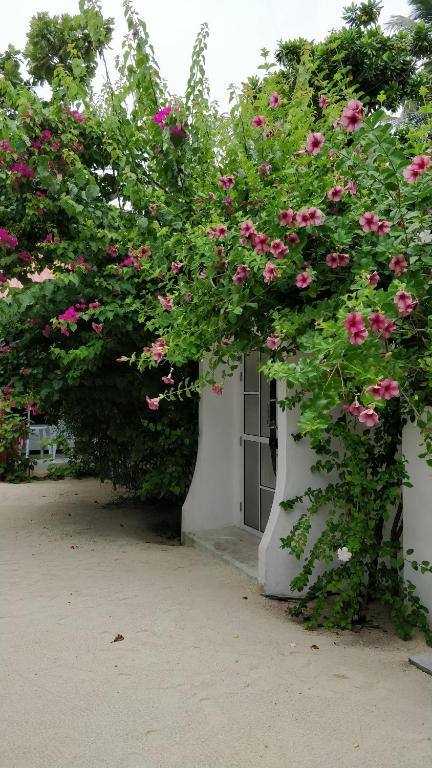 Athiriveli